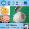 high quality refined carrageenan for beer/toothpaste/pet food/air freshener